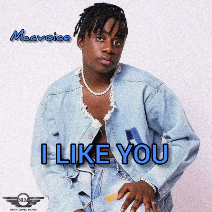 Macvoice - I Like You