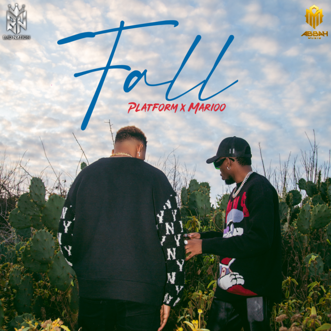 Platform Tz Ft Marioo - Fall