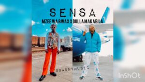 Banny Music Ft Mzee Wa Bwax & Dulla Makabila - Sensa Kwa Maendeleo
