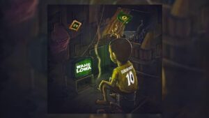 Harmonize - Wamelowa