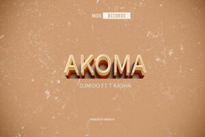 Dj Mido Ft T Kasha - Akoma (Version 2)