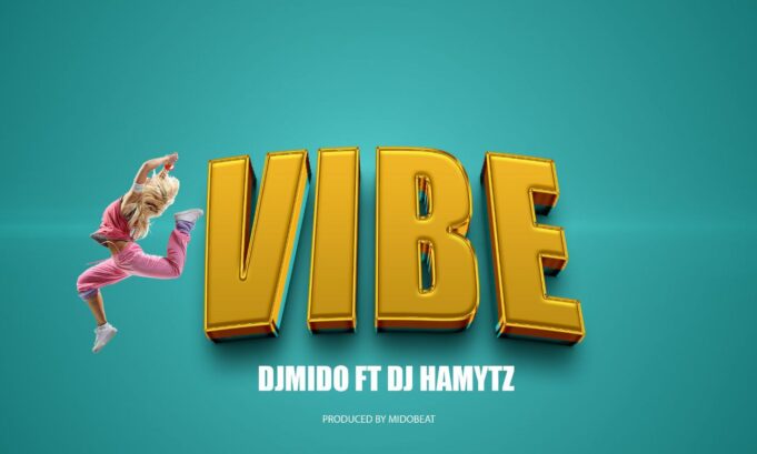 Dj Mido Ft Dj Hamy Tz - Vibe