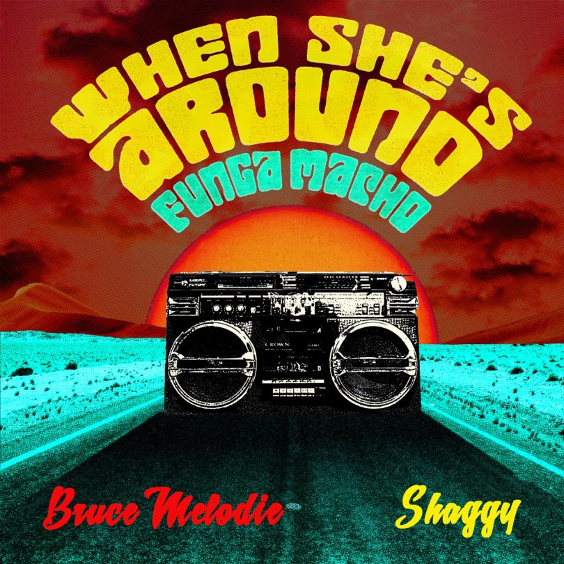 Bruce Melodie Ft Shaggy - When She's Around (Funga Macho)