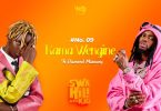 D Voice Ft Diamond Platnumz - Kama Wengine Remix By Dj Mido
