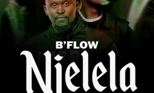 B'Flow Ft Triple M - Njelela