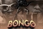 Whozu Ft Marioo - Bongo