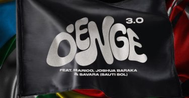 King Perry Ft Marioo, Joshua Baraka, Savara (Sauti Sol) - Denge 3.0