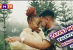 Latest New Valentine Bongo Mix 2024 By Dj Robah