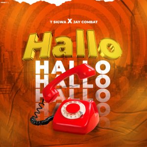 T Sigwa Ft Jay Combat - Hallo Hallo
