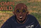Pompi - Wild