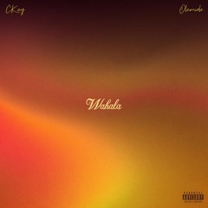 CKay Ft Olamide - Wahala