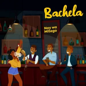 Nay Wa Mitego - Bachela