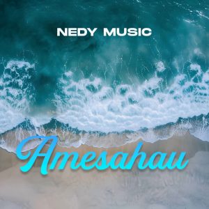 Nedy Music - Amesahau