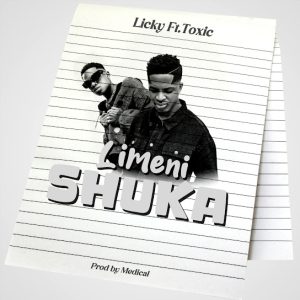 Lucky Tz Ft Toxic Fuvu - Limenishuka