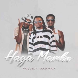 Wajomba Ft Dogo Janja - Haya Mambo