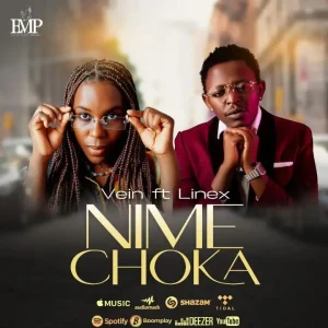 Vein Ft Linex - Nimechoka