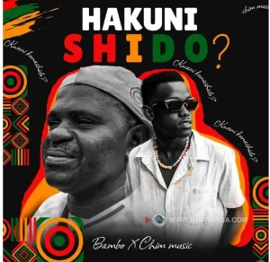 Bambo Ft Chim Music - Hakuni Shido