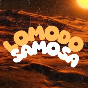 Lomodo - Samosa