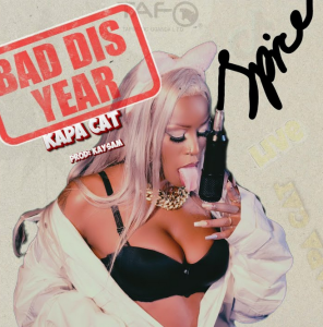 Kapa Cat - Bad Dis Year