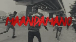 Bien Ft Breeder LW - Maandamano