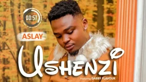 Aslay Ft Gabby Flavour - Ushenzi