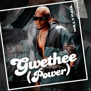 Willy Paul - Gwethee