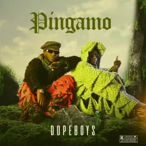 ALBUM Dope Boys - Pingamo