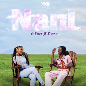 D Voice Ft Zuchu - Nani