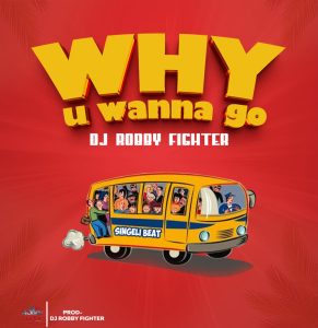 DJ Robby Fighter - Why U Wanna Go
