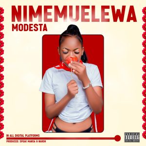 Modesta - Nimemuelewa