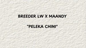 BREEDER LW Ft Maandy - Peleka Chini