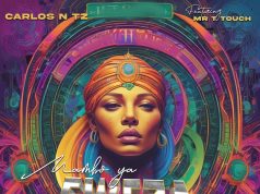 Carlos N Tz – Mambo Ya Fweza (Fedha) Ft T Touch Carlos N Tz - Mambo Ya Fweza (Fedha) Ft T Touch