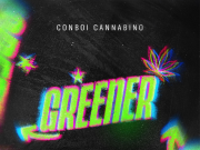 Conboi Cannabino – Greener Conboi Cannabino - Greener