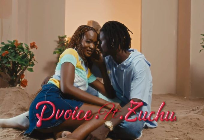 VIDEO D Voice - Nani Ft Zuchu