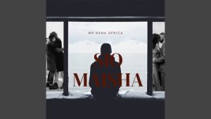 Mr Nana - Sio Maisha