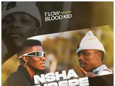 T-Low – Nshakubepe Ft Blood Kid T-Low - Nshakubepe Ft Blood Kid