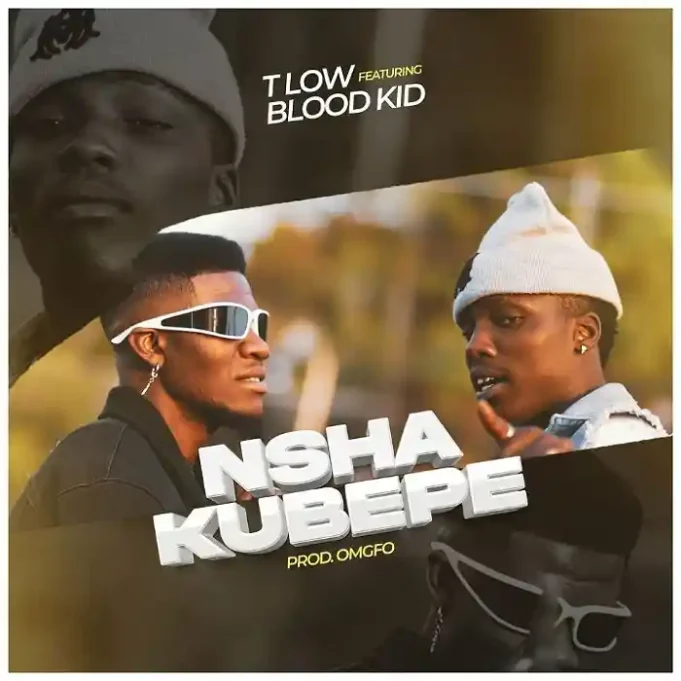 T-Low - Nshakubepe Ft Blood Kid