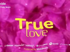 Dj Mido Ft Fredy Music – True Love (Master) Dj Mido Ft Fredy Music - True Love (Master)