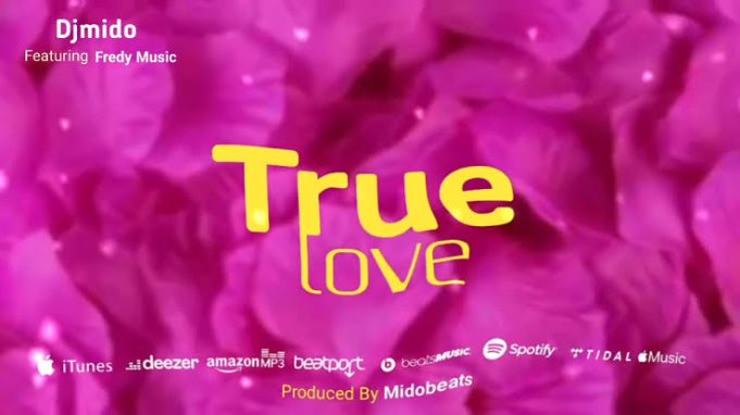 Dj Mido Ft Fredy Music - True Love (Master)