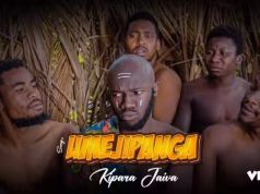Kipara Jaiva – Umejipanga Kipara Jaiva - Umejipanga
