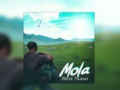 Best Naso – Mola Best Naso - Mola
