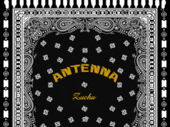 Zuchu – Antenna Zuchu - Antenna