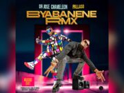 Jose Chameleone – Bya Banene Remix Ft Pallaso Jose Chameleone - Bya Banene Remix Ft Pallaso