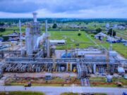 Port Harcourt Refinery’s Petrol Price Higher Than Dangote’s By ₦75/ltr — PETROAN