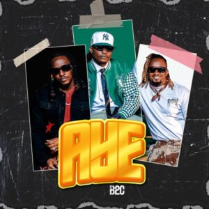 B2c - Aye