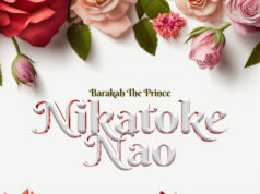 Barakah The Prince – Nikatoke Nao Barakah The Prince - Nikatoke Nao