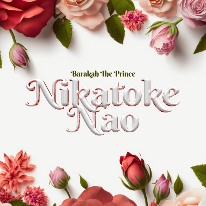 Barakah The Prince - Nikatoke Nao