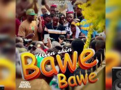 Alien Skin – Bawe Bawe Alien Skin - Bawe Bawe