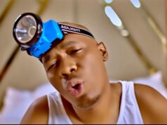 Big Eye – Gold Big Eye - Gold