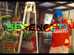 VIDEO Platform – Serengeti VIDEO Platform - Serengeti